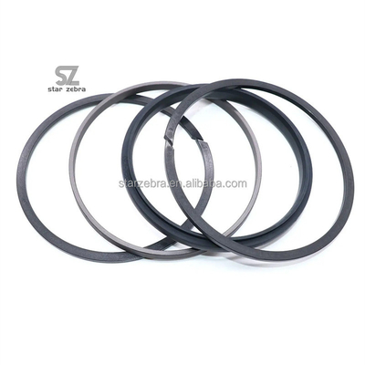 Piston Seal Kit SPGW for Working Tempereture -40--120C