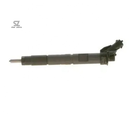 Common Rail Fuel Injector Part Name Injector 0445116053 for Chinese Market