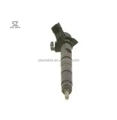 Common Rail Fuel Injector Part Name Injector 0445116053 for Chinese Market