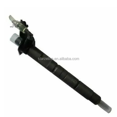 Common Rail Fuel Injector Part Name Injector 0445116053 for Chinese Market